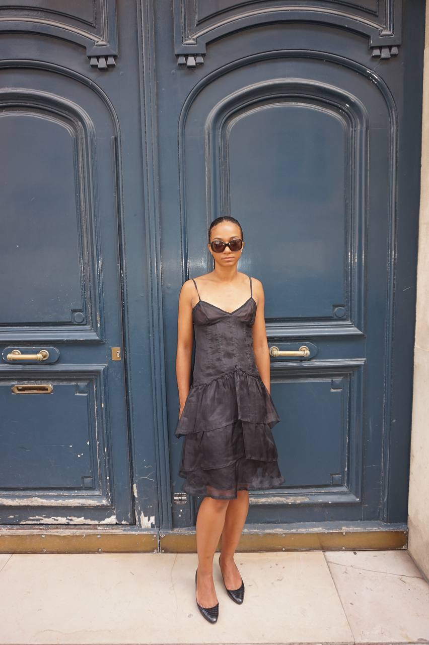Max & Co. 100% Silk Sheer Tiered Dress